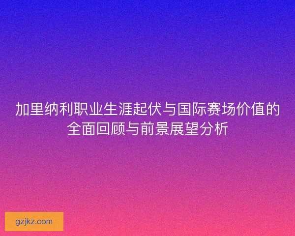 加里纳利职业生涯起伏与国际赛场价值的全面回顾与前景展望分析