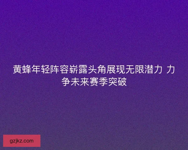 黄蜂年轻阵容崭露头角展现无限潜力 力争未来赛季突破
