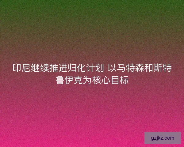 印尼继续推进归化计划 以马特森和斯特鲁伊克为核心目标